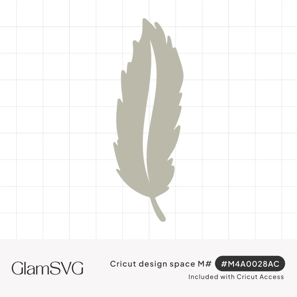 Single sage gray feather silhouette with notched edges and an open quill line down the center