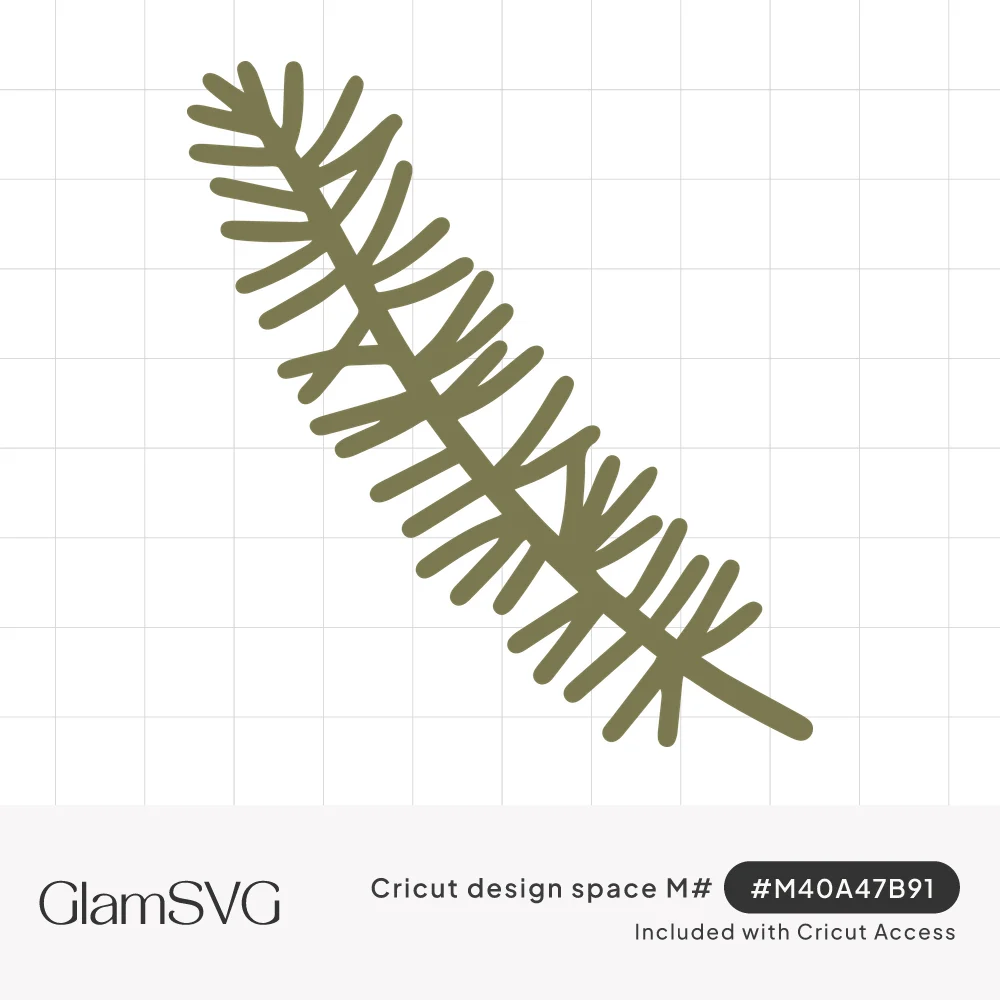 Hand-drawn olive green fir branch with thin needles fanning out along a diagonal curving stem