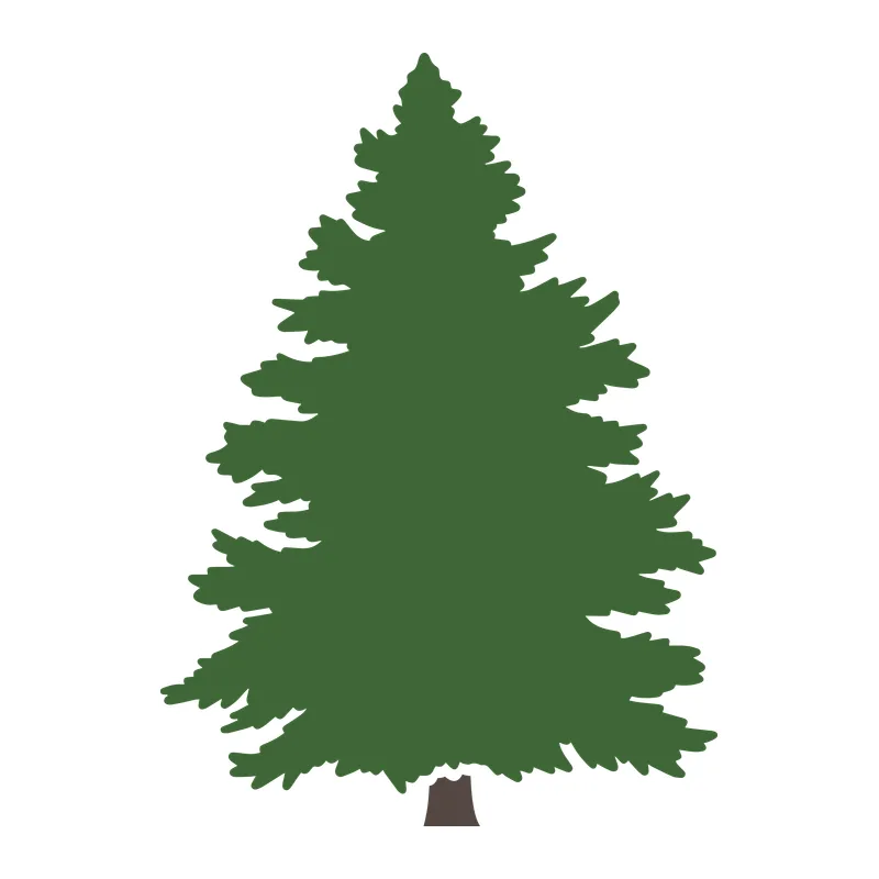 Fir Tree Silhouette