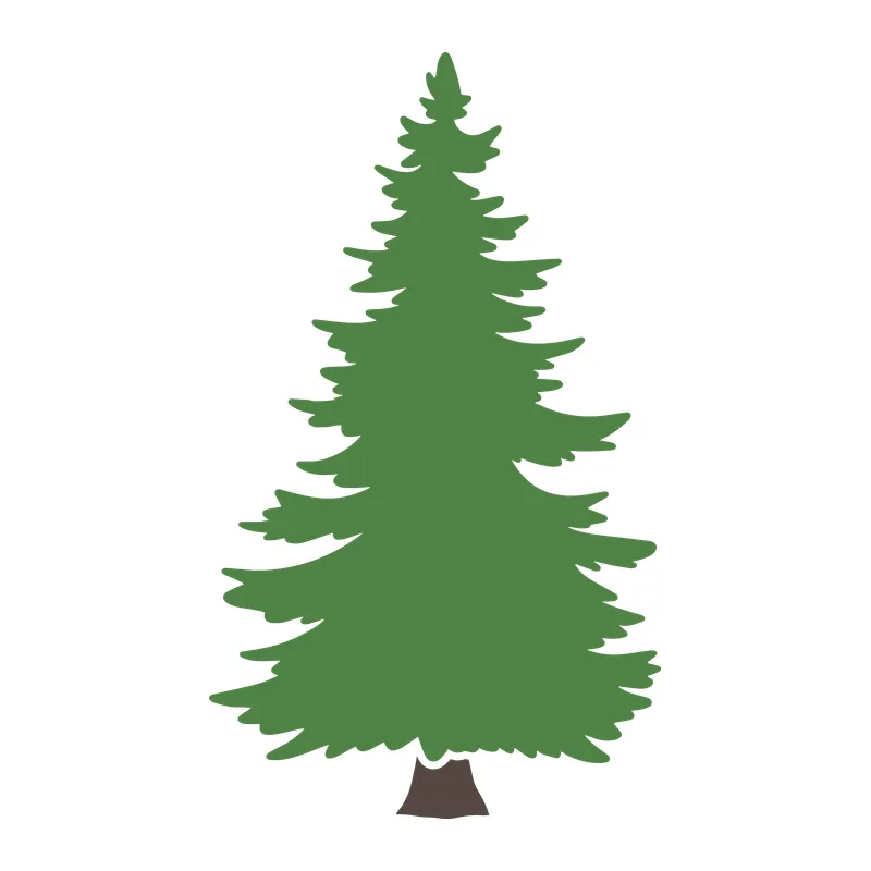 Fir Tree