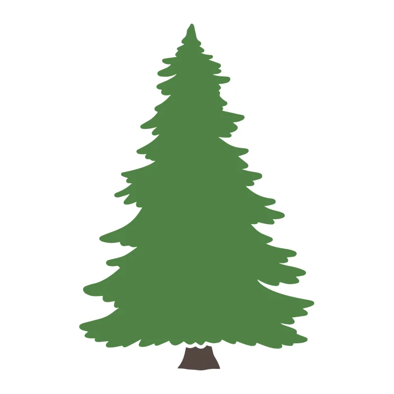 Fir Tree