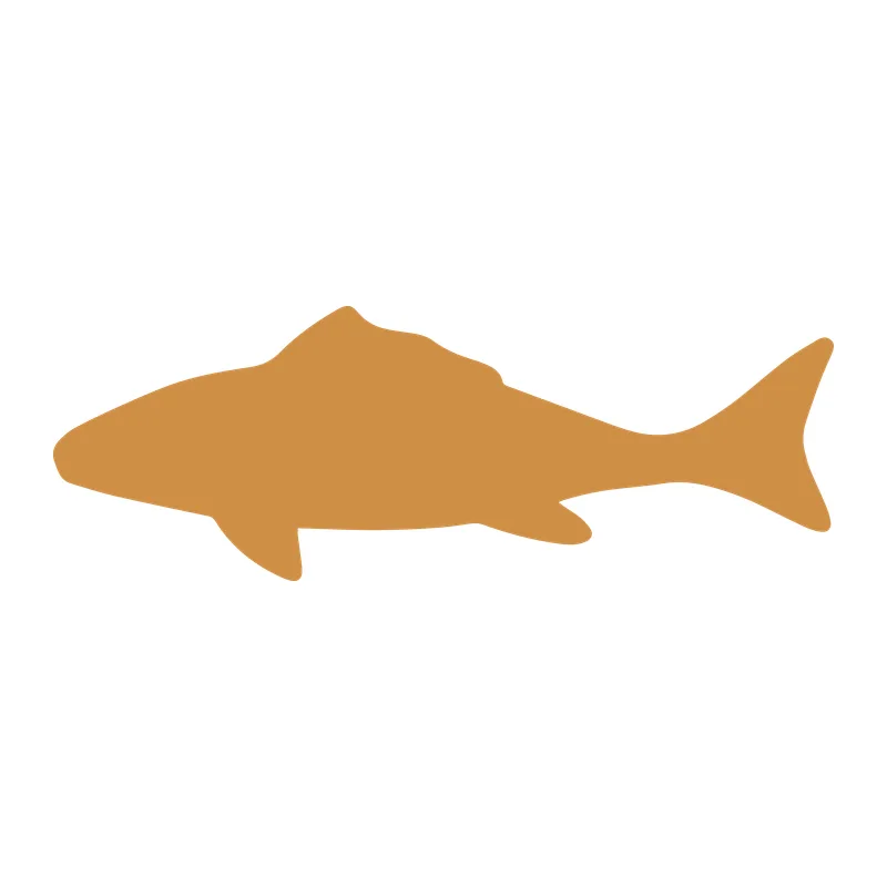 Fish Silhouette