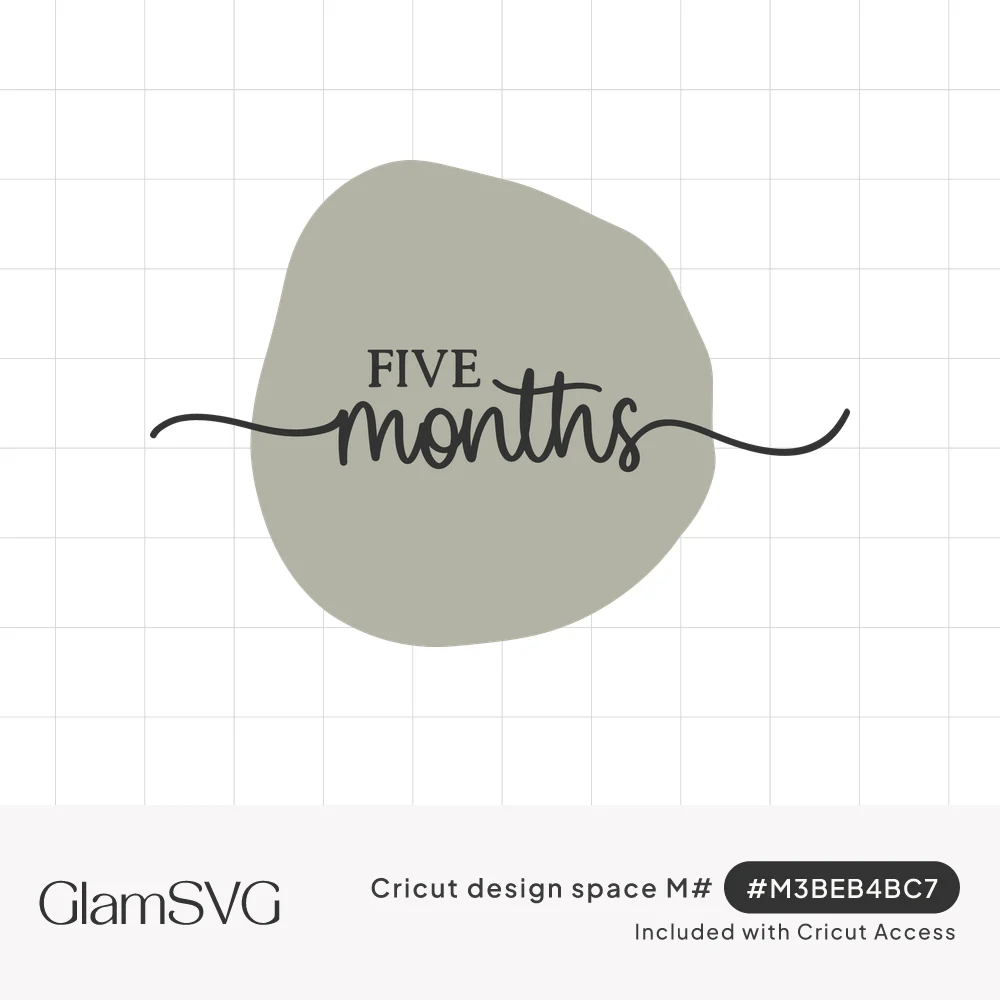 The words five months in dark serif and script lettering with swashes over a sage green organic shape