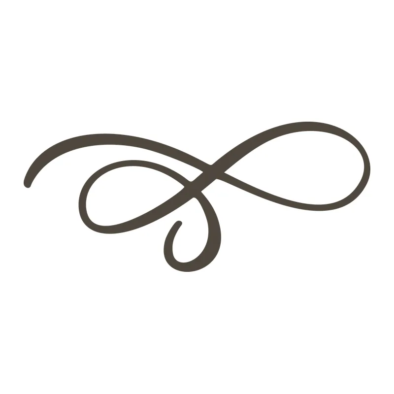 Calligraphy Flourish Swirl