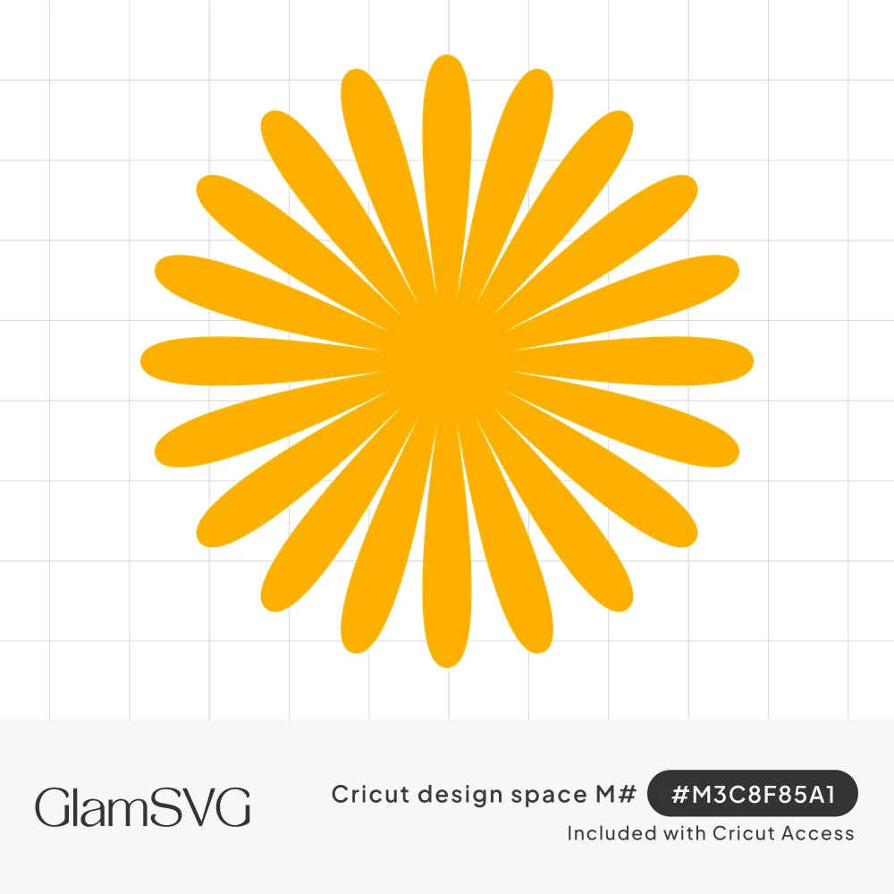 Golden yellow daisy flower with long slender petals radiating from a solid round center