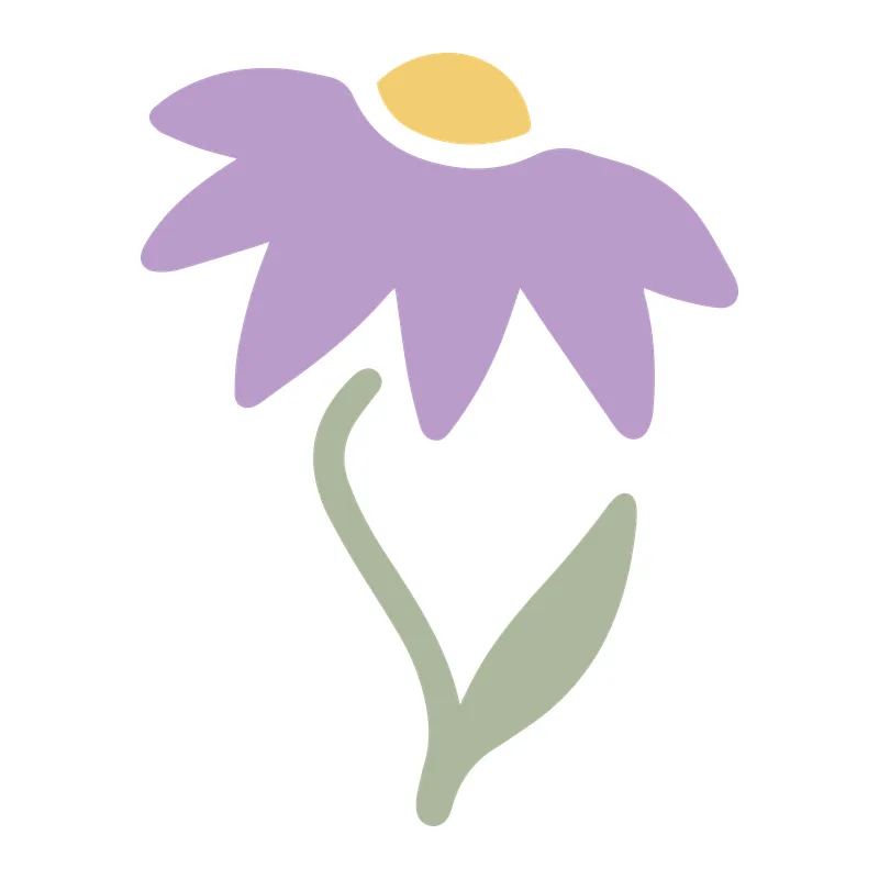 Purple Coneflower