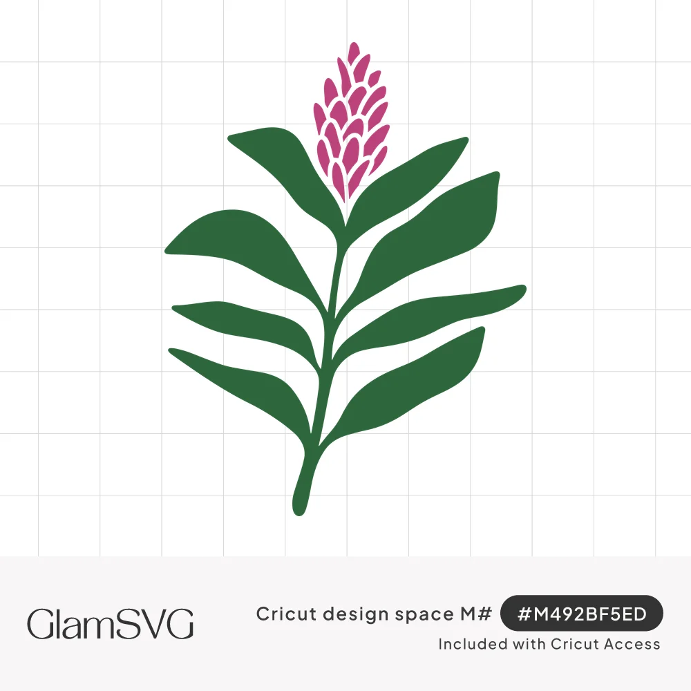Flat illustration of a pink ginger flower with a cone-shaped magenta bloom on a green stem with long pointed leaves