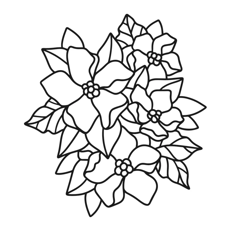 Poinsettia Flower Cluster