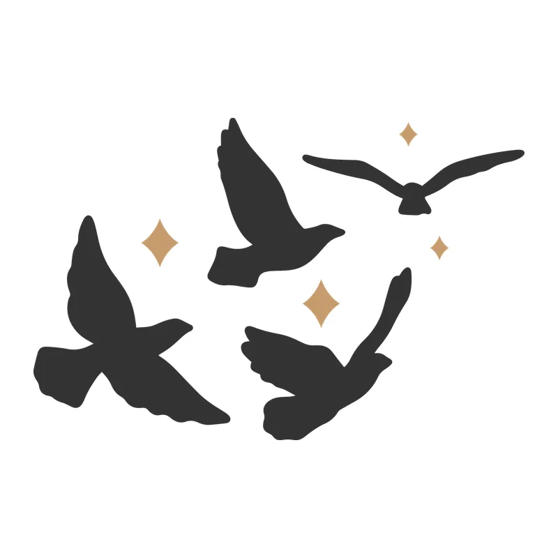 Flying Birds Silhouette