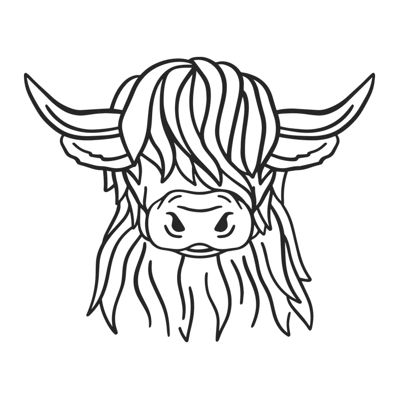 Highland Cow Face