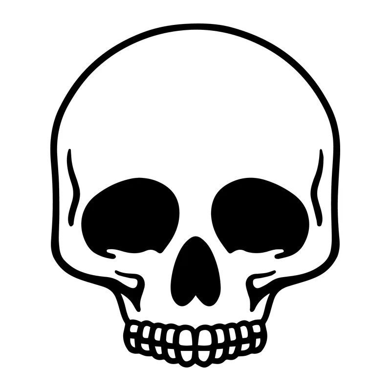 Human Skull Head