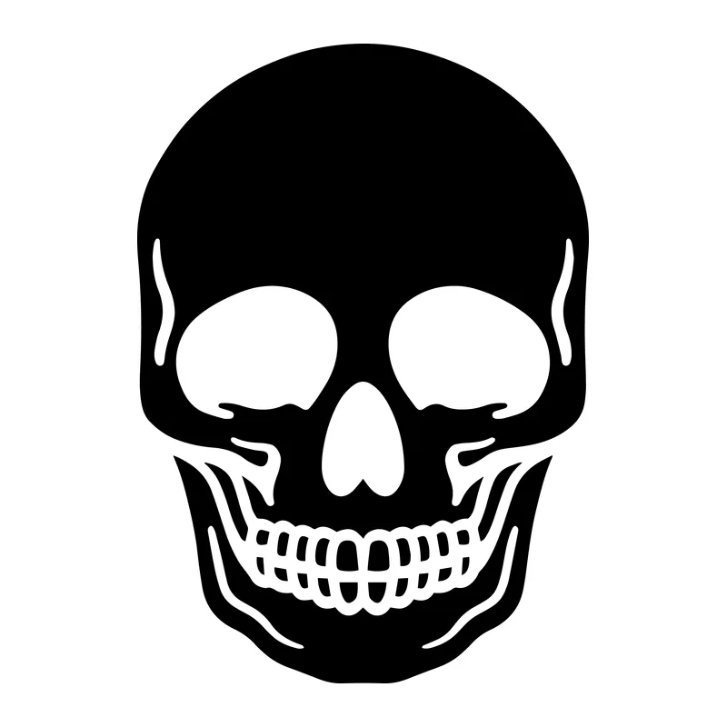 Human Skull Head