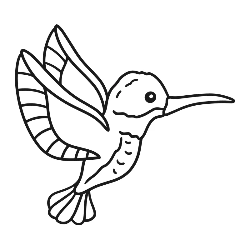 Hummingbird in Flight