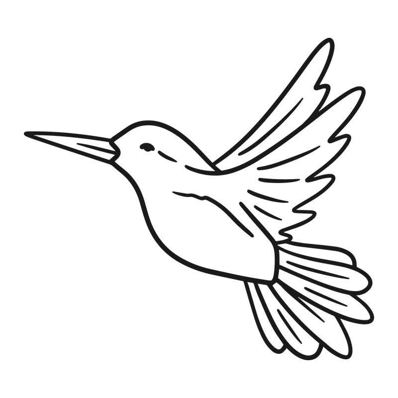 Hummingbird