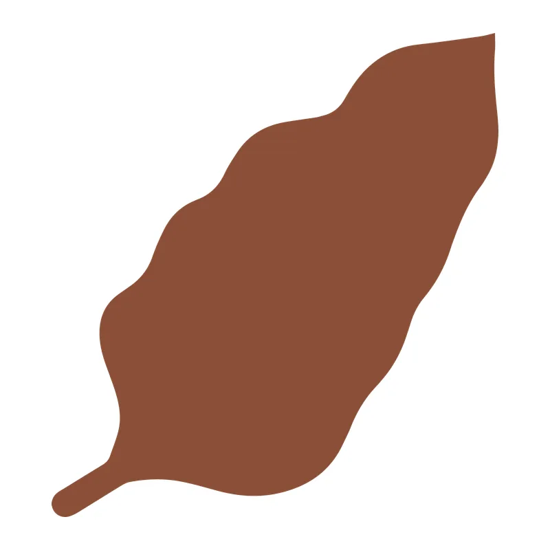 Brown Autumn Leaf