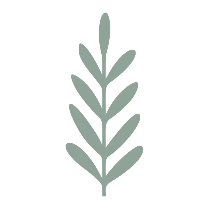 Leaf Branch