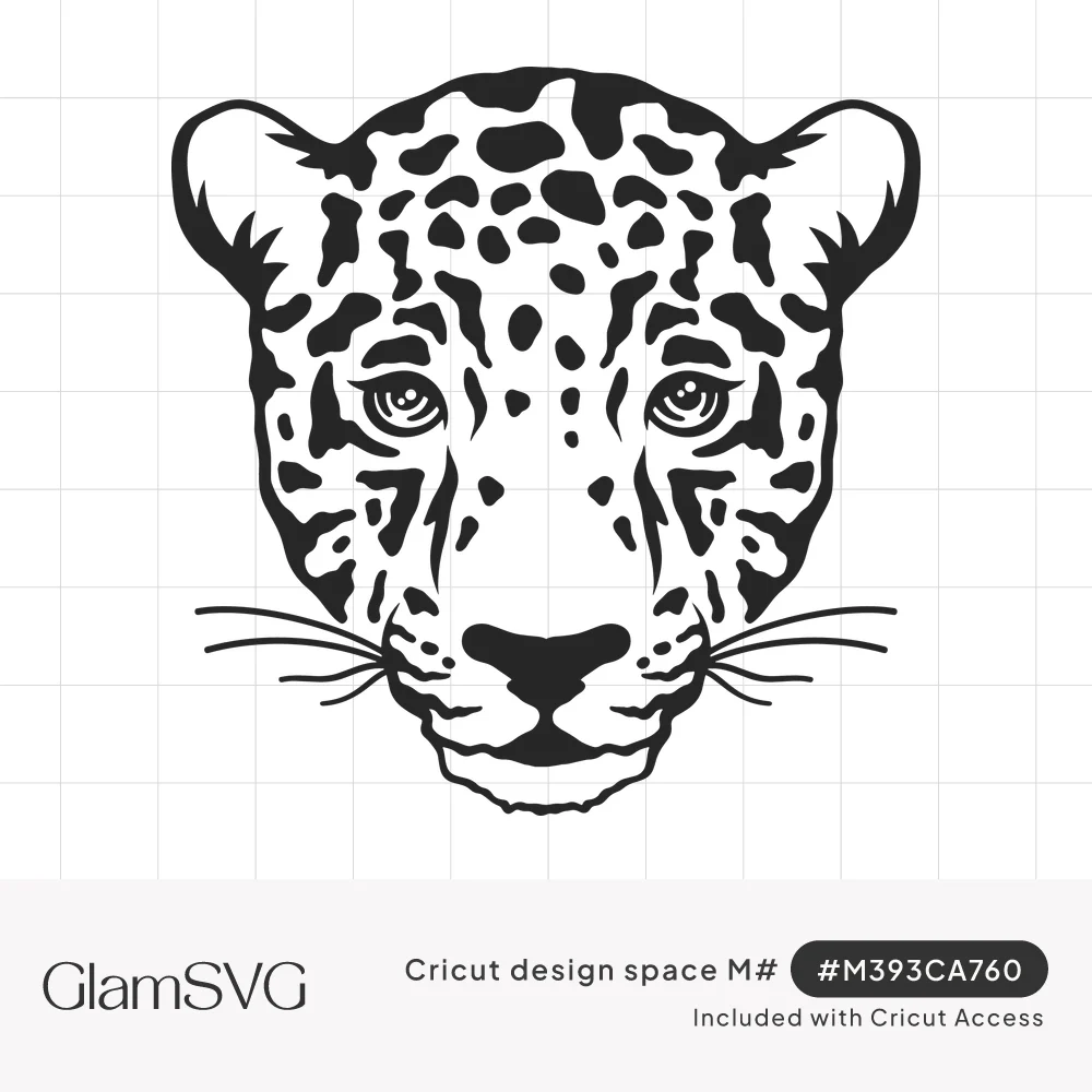 Black and white front-facing leopard face with spotted rosette markings, wide eyes and long whiskers