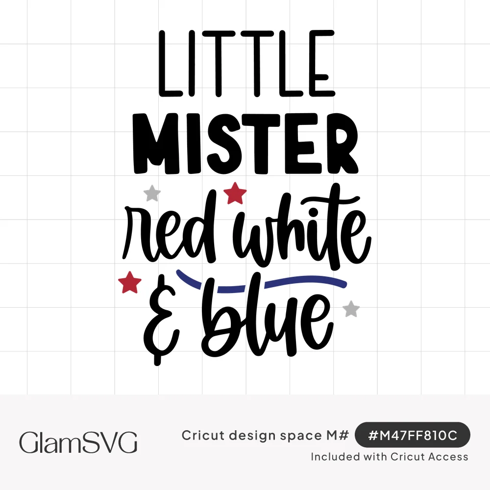 Little Mister red white & blue lettering in black block and script type with red and gray stars and a navy swoosh