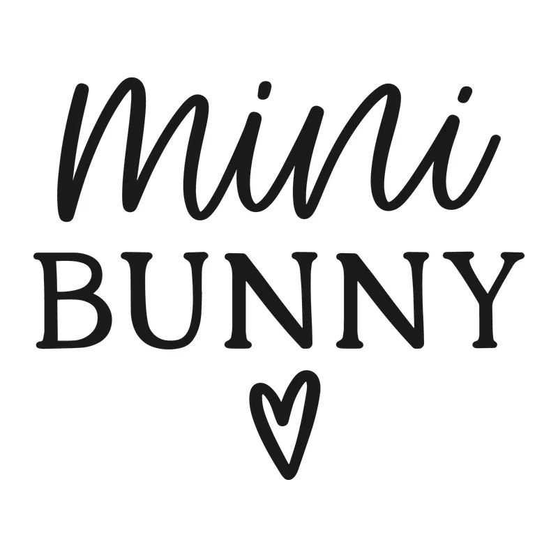 Mini Bunny