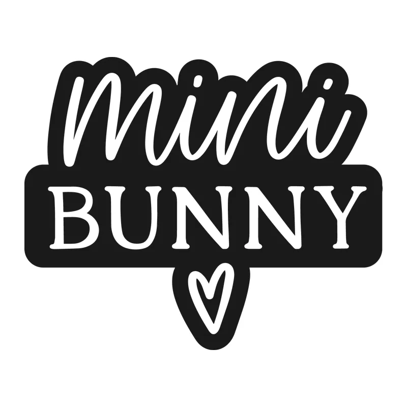 Mini Bunny