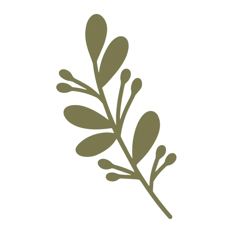 Mistletoe Sprig