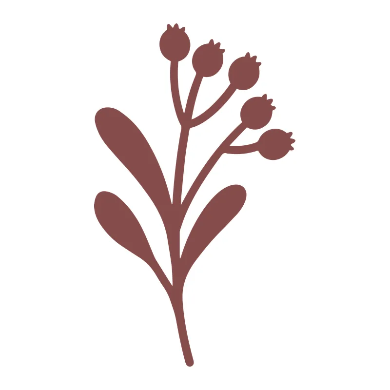 Mistletoe Sprig