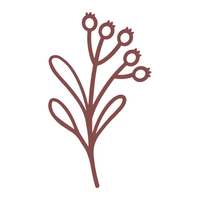 Mistletoe Berry Sprig