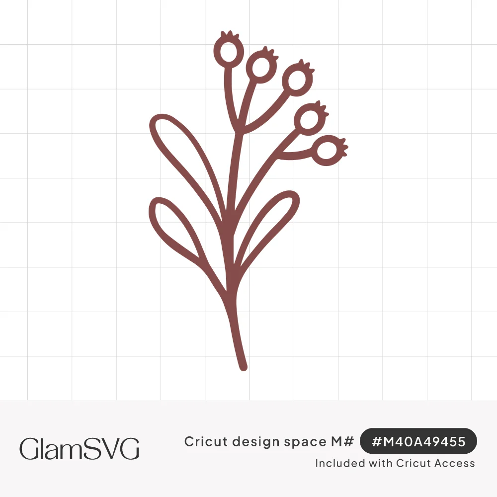 Line drawing of a mistletoe sprig with two long leaves and a cluster of small round berries on thin stems