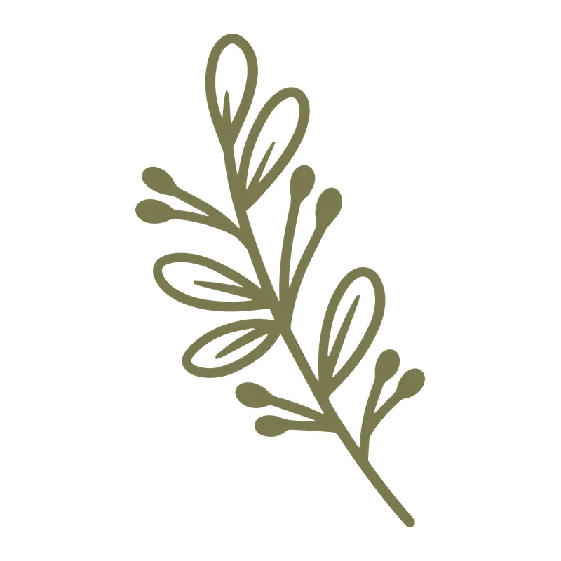 Mistletoe Sprig
