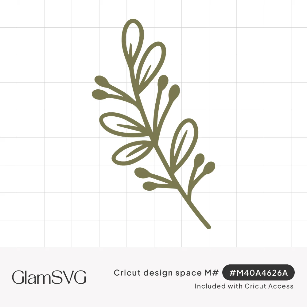Olive green line drawing of a mistletoe sprig with outlined leaves and small rounded berries on short stems