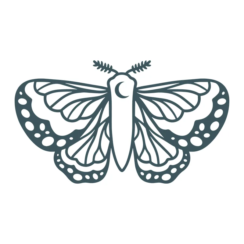 Crescent Moon Moth
