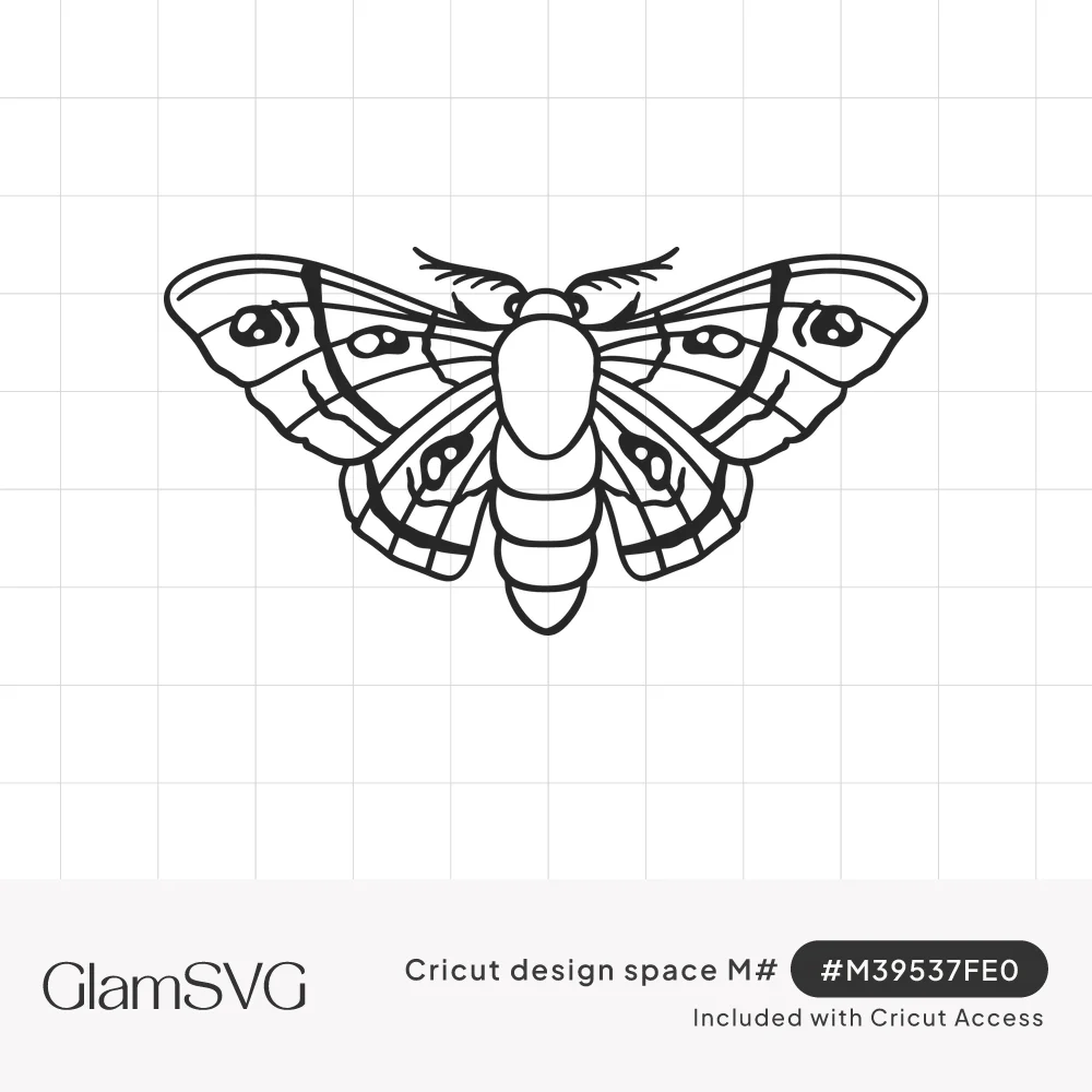 Black line drawing of a moth with spread wings, eyespot markings, feathery antennae and a segmented body