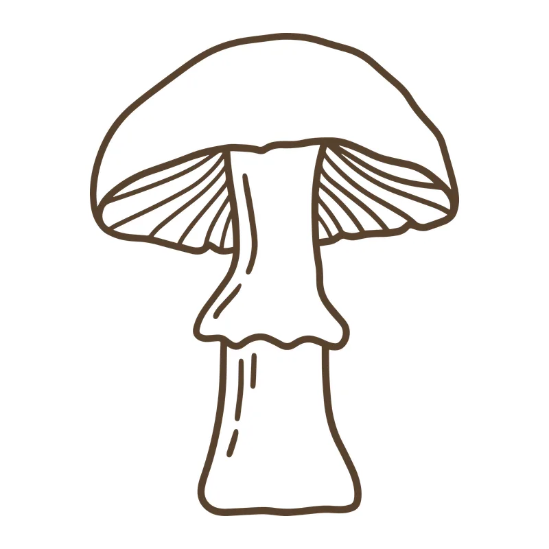 Hand-Drawn Mushroom Line Art