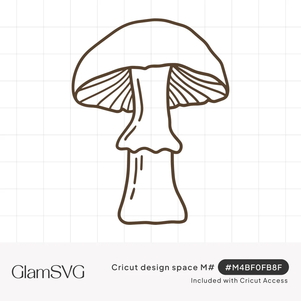 Brown outline drawing of a single mushroom with a rounded cap, visible gills and a tall stem with a ruffled ring