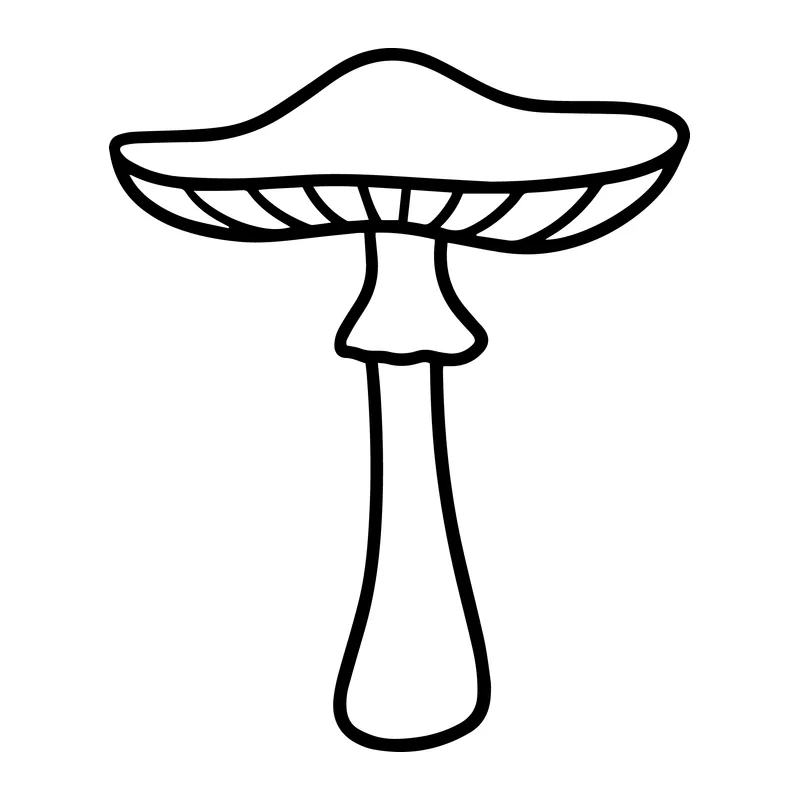 Tall Mushroom Line Art