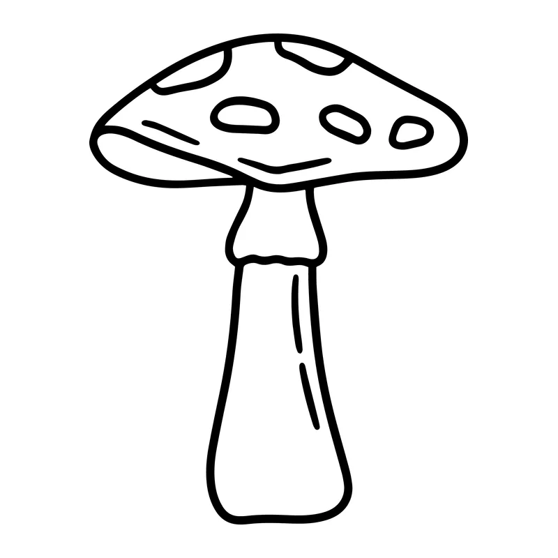 Spotted Toadstool Mushroom