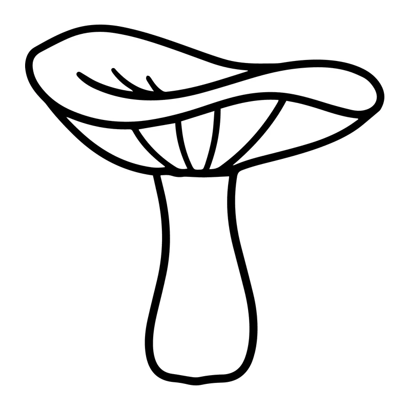 Hand-Drawn Mushroom Outline