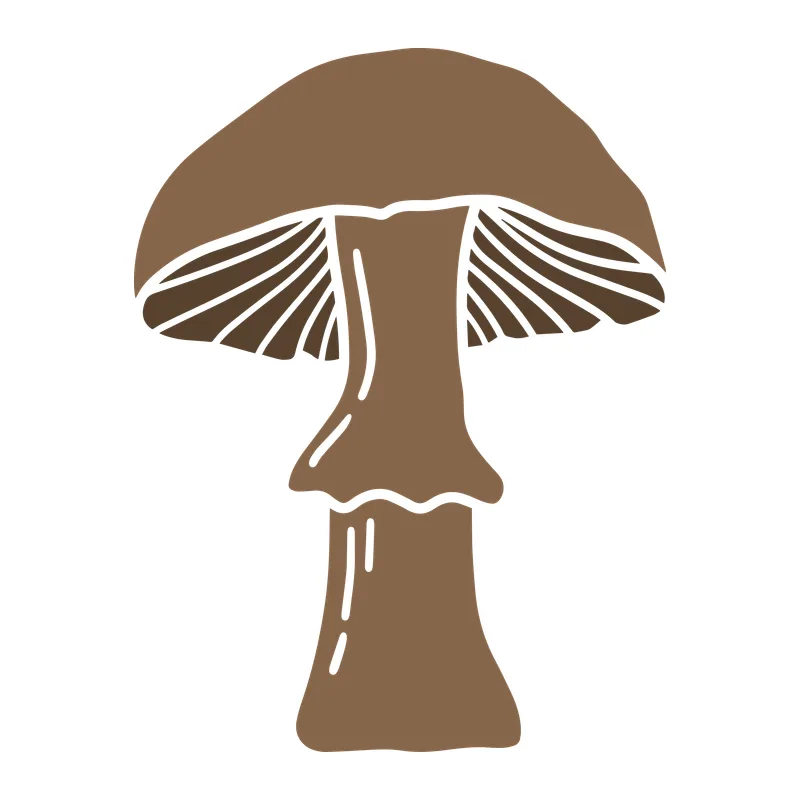 Woodland Mushroom
