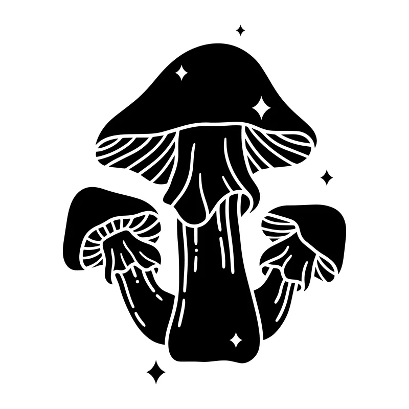 Mystical Mushroom Trio