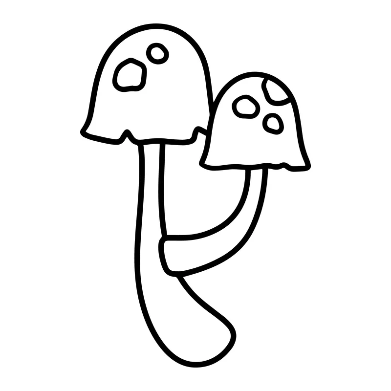 Twin Spotted Mushrooms