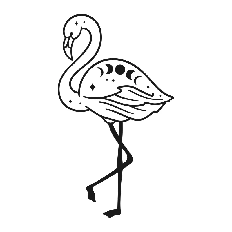 Mystical Flamingo