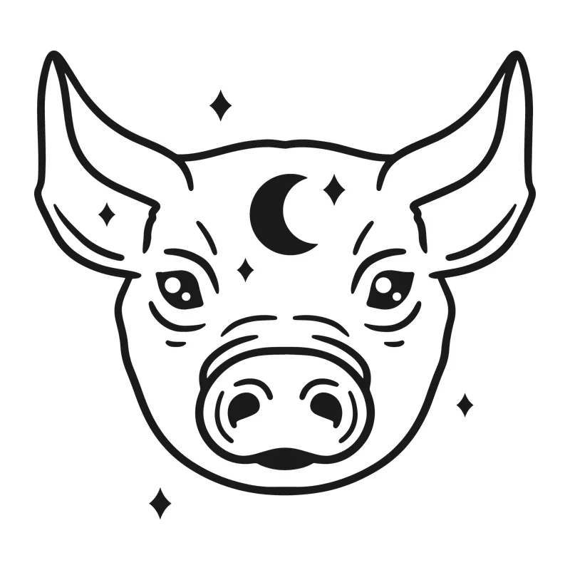 Mystical Pig Face
