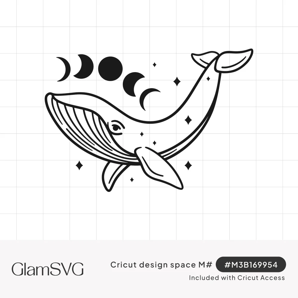 Black line art humpback whale swimming under an arc of moon phases surrounded by small four-point stars