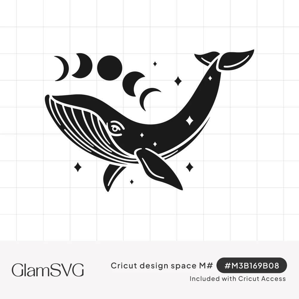 Black silhouette whale with white line details swimming beneath an arc of moon phases and small sparkling stars
