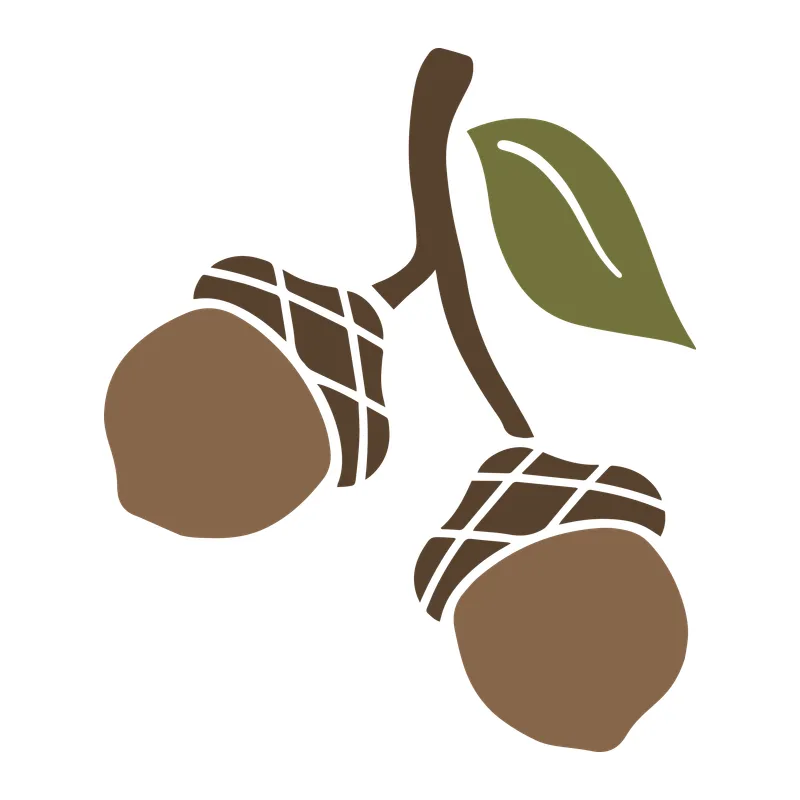 Acorn Pair With Leaf