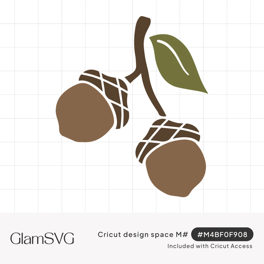 Two brown acorns with crosshatched caps hanging from a thin branch beside a single olive green leaf
