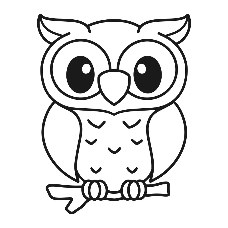 Cute Owl on a Branch