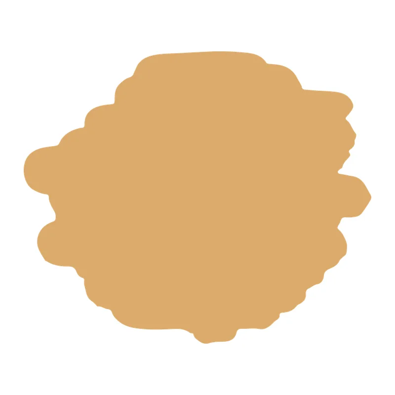 Paint Brush Stroke