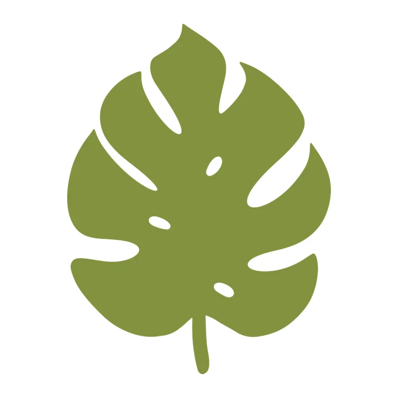 Monstera Leaf