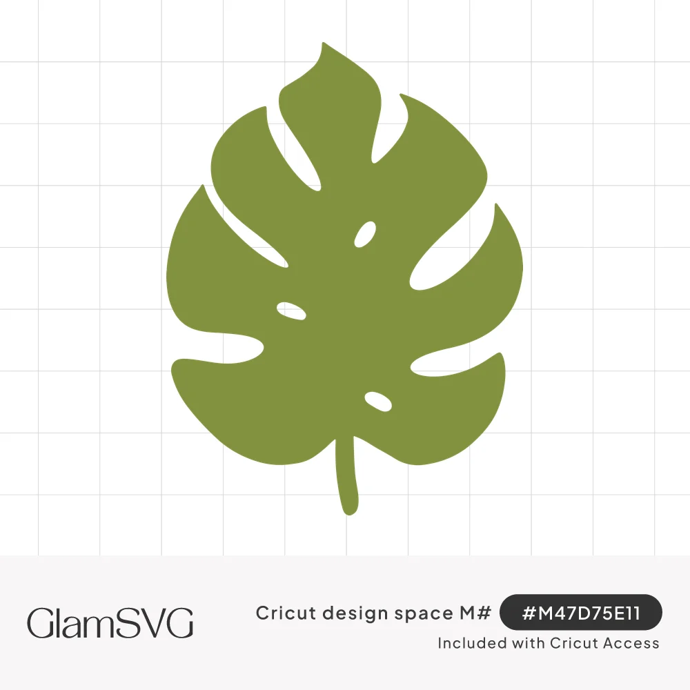 Olive green silhouette of a monstera leaf with split edges, small oval holes and a short stem on a white background